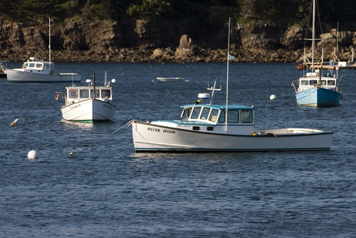 Sunnyside Cottages Bar Harbor Boats